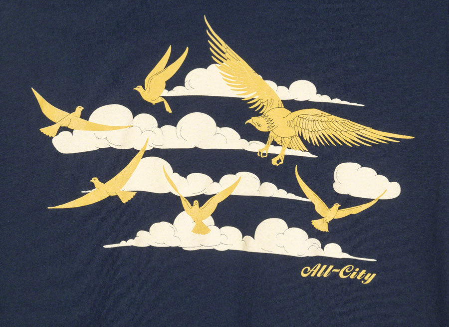 CL2799-01.jpg: Image for All City Women's Fly High T-Shirt - Navy, Gold, Large