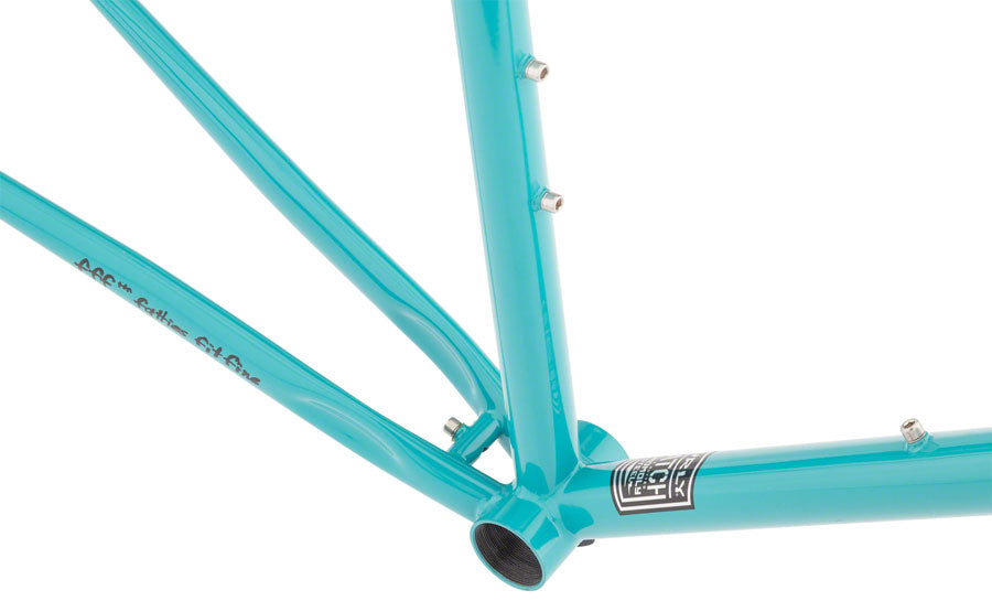 FM3017-04.jpg: Image for Straggler 700c Frameset - Chlorine Dream