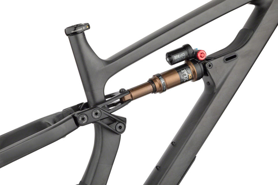 FM9418-02.jpg: Image for Blackthorn Carbon Frame - Raw