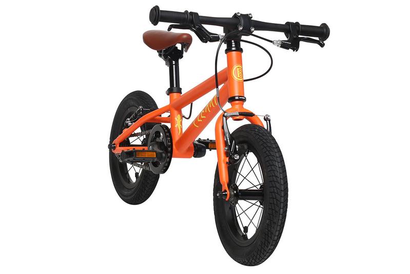 Cleary Gecko 12