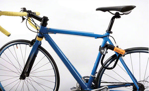 LK4108-01.jpg: Image for Transit FlexFrame