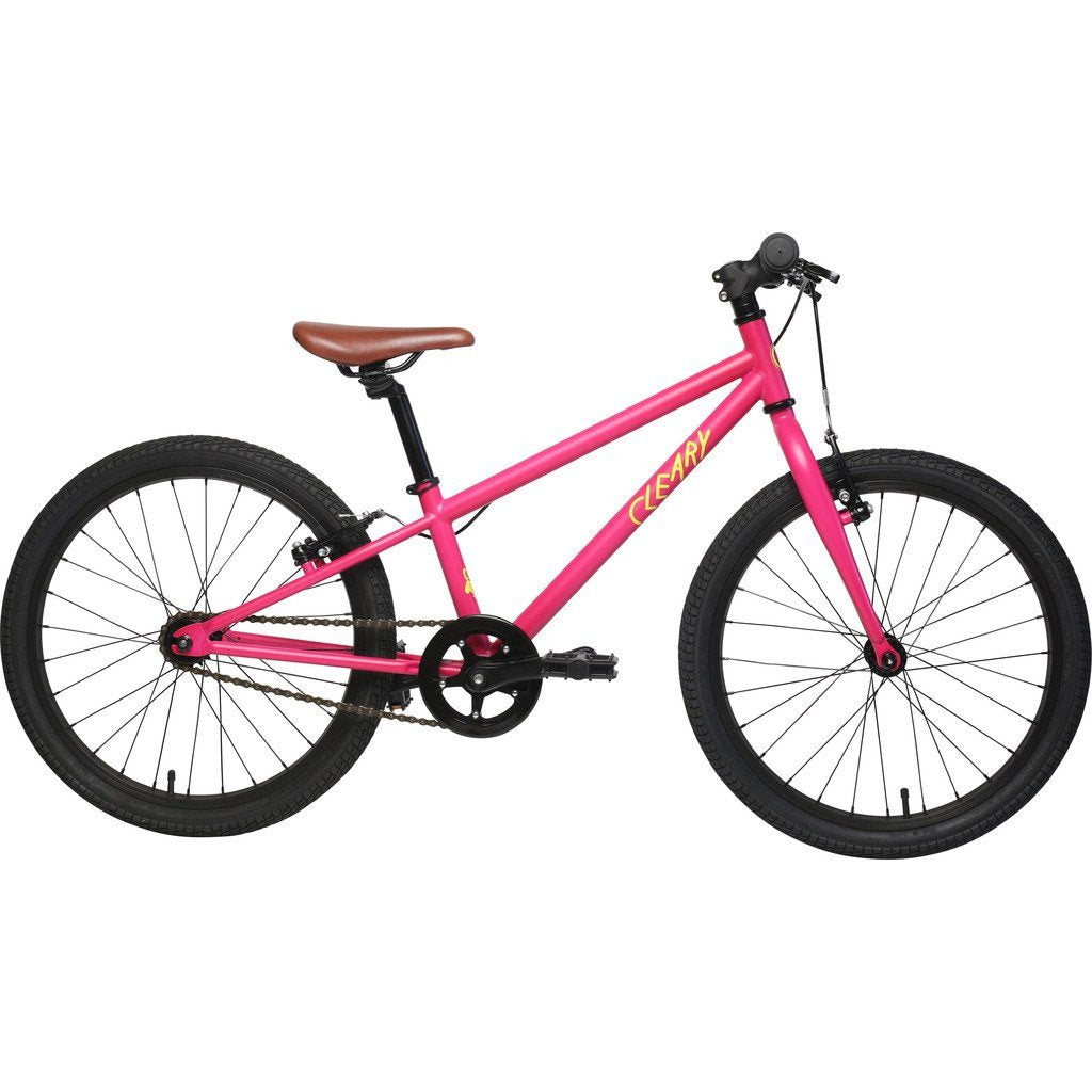 Cleary Owl 20" 3-Speed