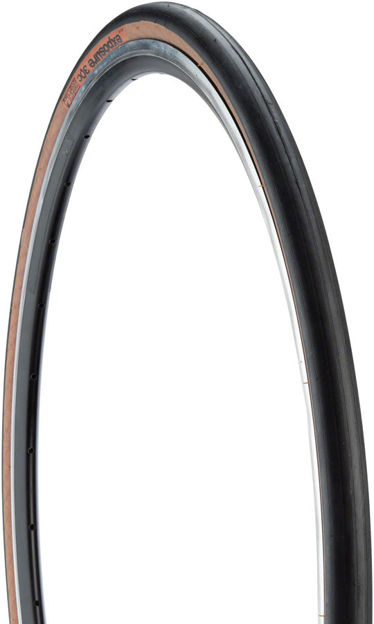 TR1510.jpg: Image for WTB Exposure Tire - 700 x 30, TCS Tubeless, Folding, Black