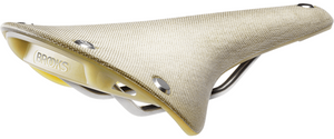 Brooks Cambium Organic Light