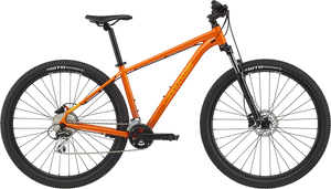 2024 Trail 6