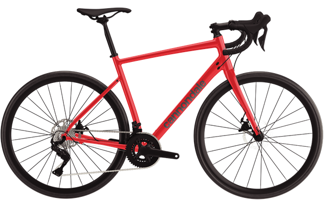 Synapse 1 - Huckleberry Bicycles