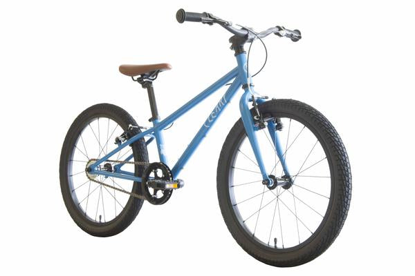 Cleary Owl 20" Single Speed